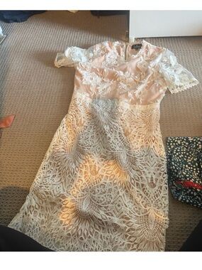 10 women’s size large dresses